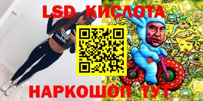 крисы Славянск-на-Кубани