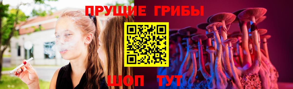 Галлюциногенные грибы Psilocybe  Галлюциногенные грибы GOLDEN TEACHER  Ялта  Вход с VPN 